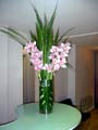 Medium contemporary Office Flower Display in RIBA