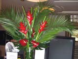 Tropical Office flower display in reception area of RIBA